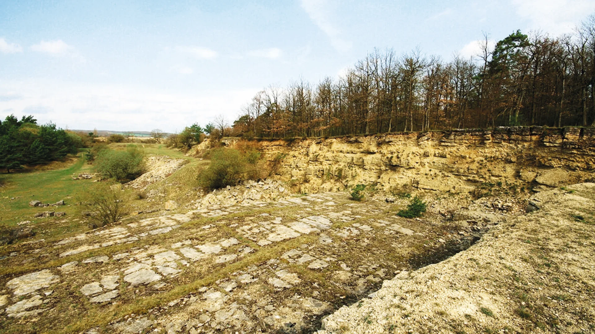 Geotop 83 | © Bayerisches Landesamt für Umwelt