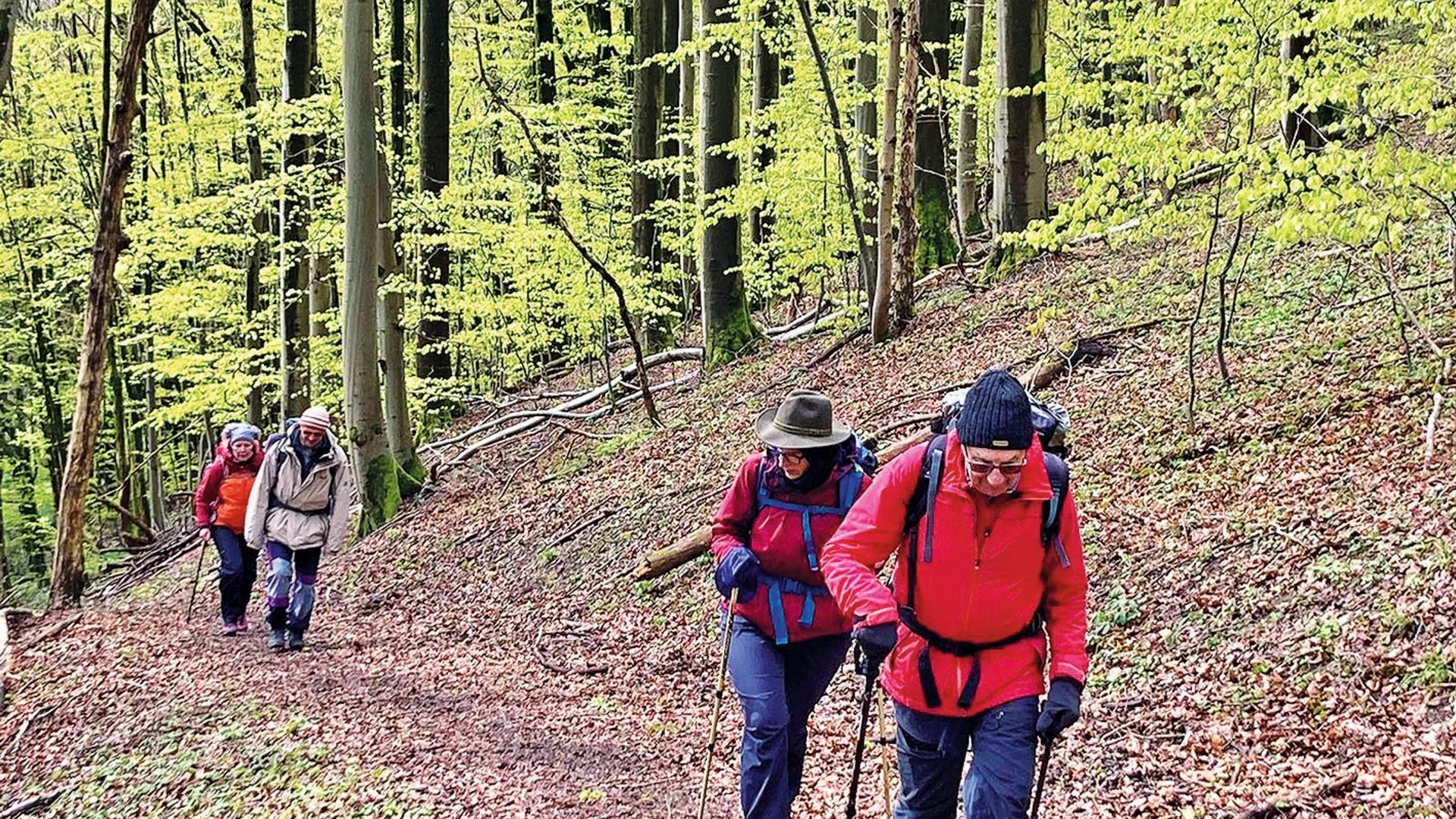 Wandergruppe Volker Sauerbrunn | © Volker Sauerbrunn