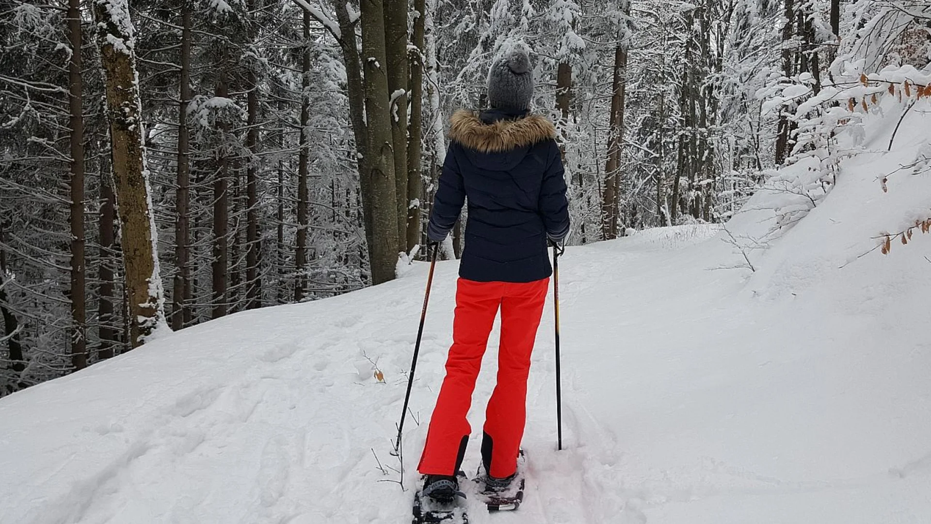 Schneeschuhwandern | © Pixabay