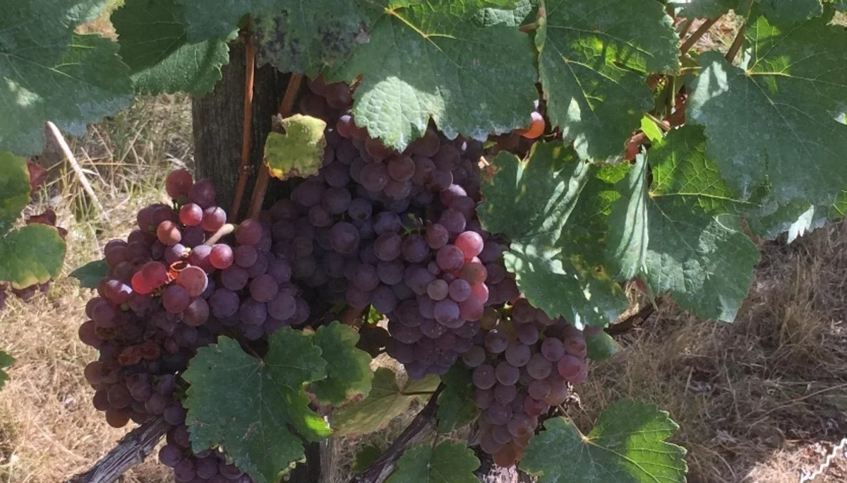 © Bergbund Würzburg, Frank Baumer