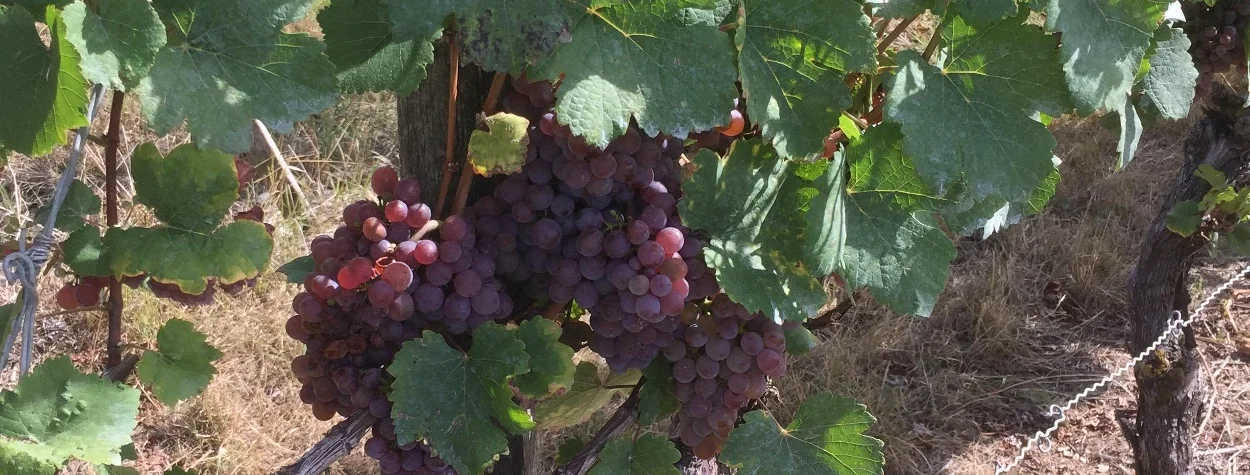 © Bergbund Würzburg, Frank Baumer