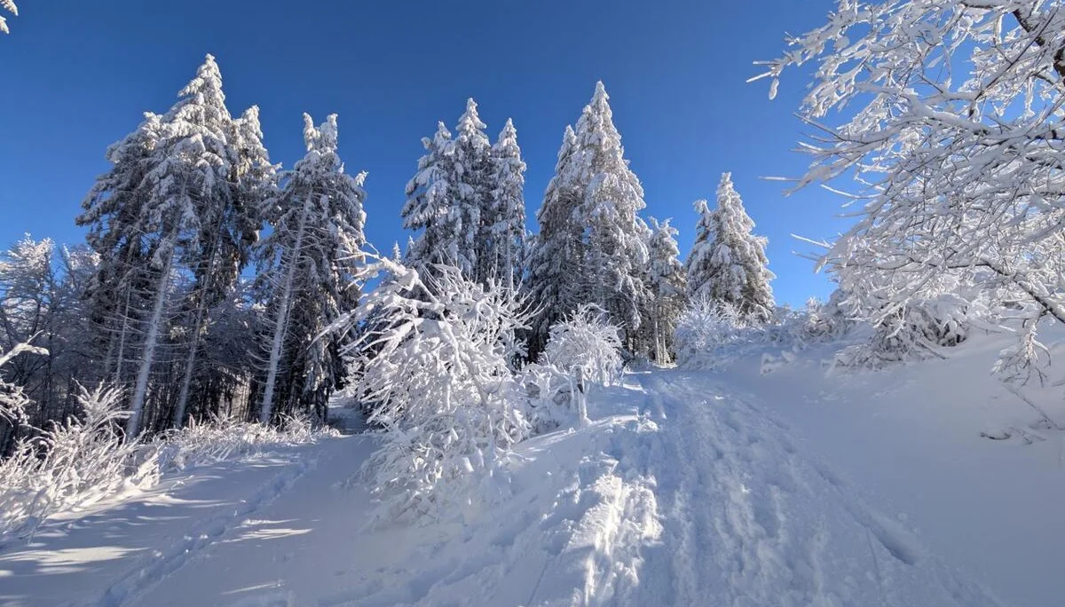 © Maximilian Ehrmantraut