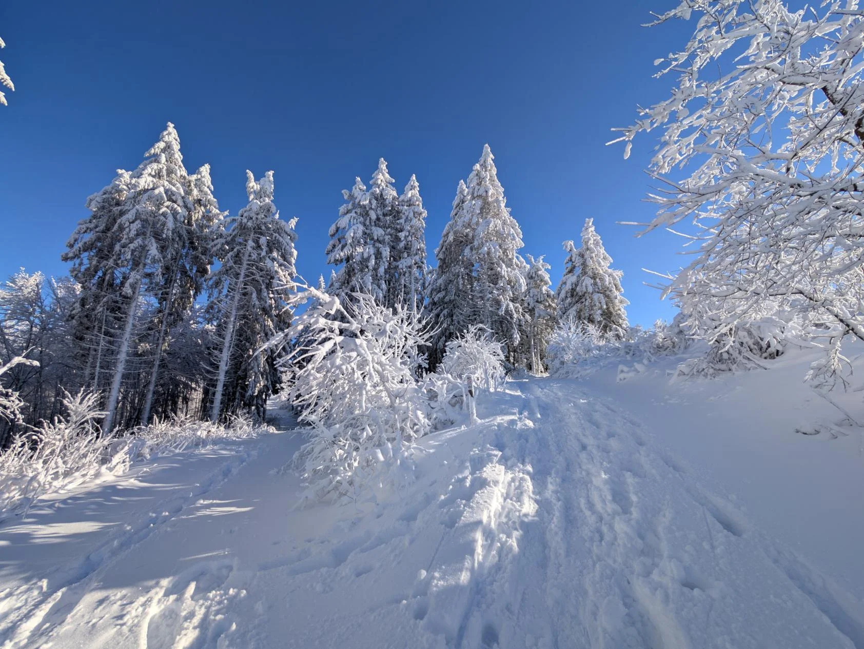 © Maximilian Ehrmantraut