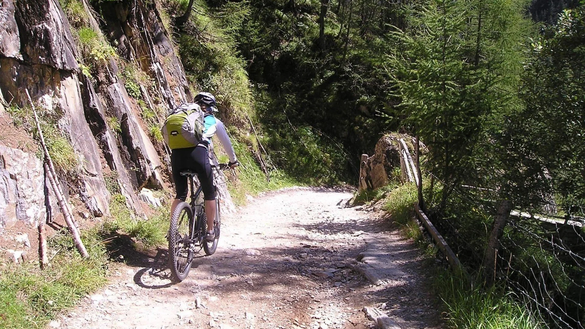 MTB-Fahrer auf Wirtschaftsweg | © Pixabay