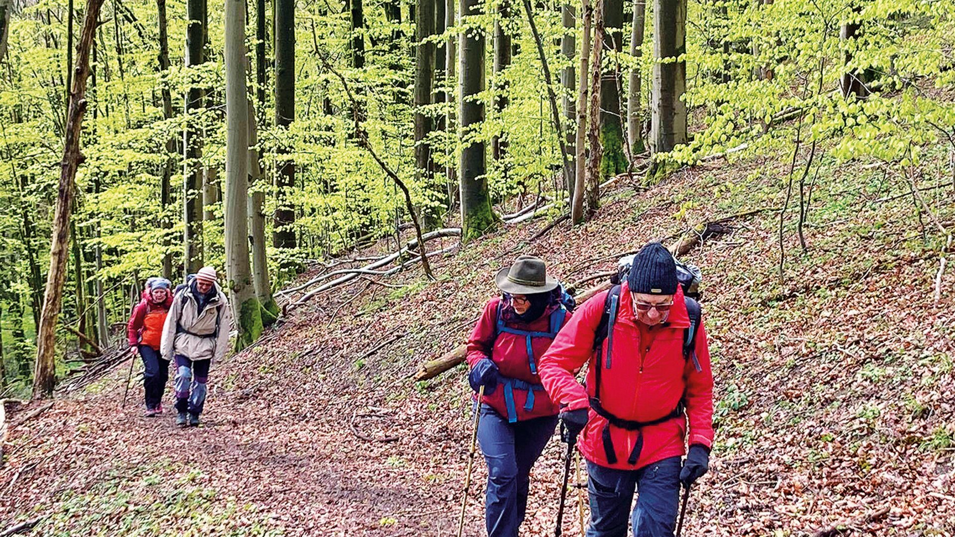 Wandergruppe Volker Sauerbrunn | © Volker Sauerbrunn Wandergruppe Volker Sauerbrunn | © Volker Sauerbrunn