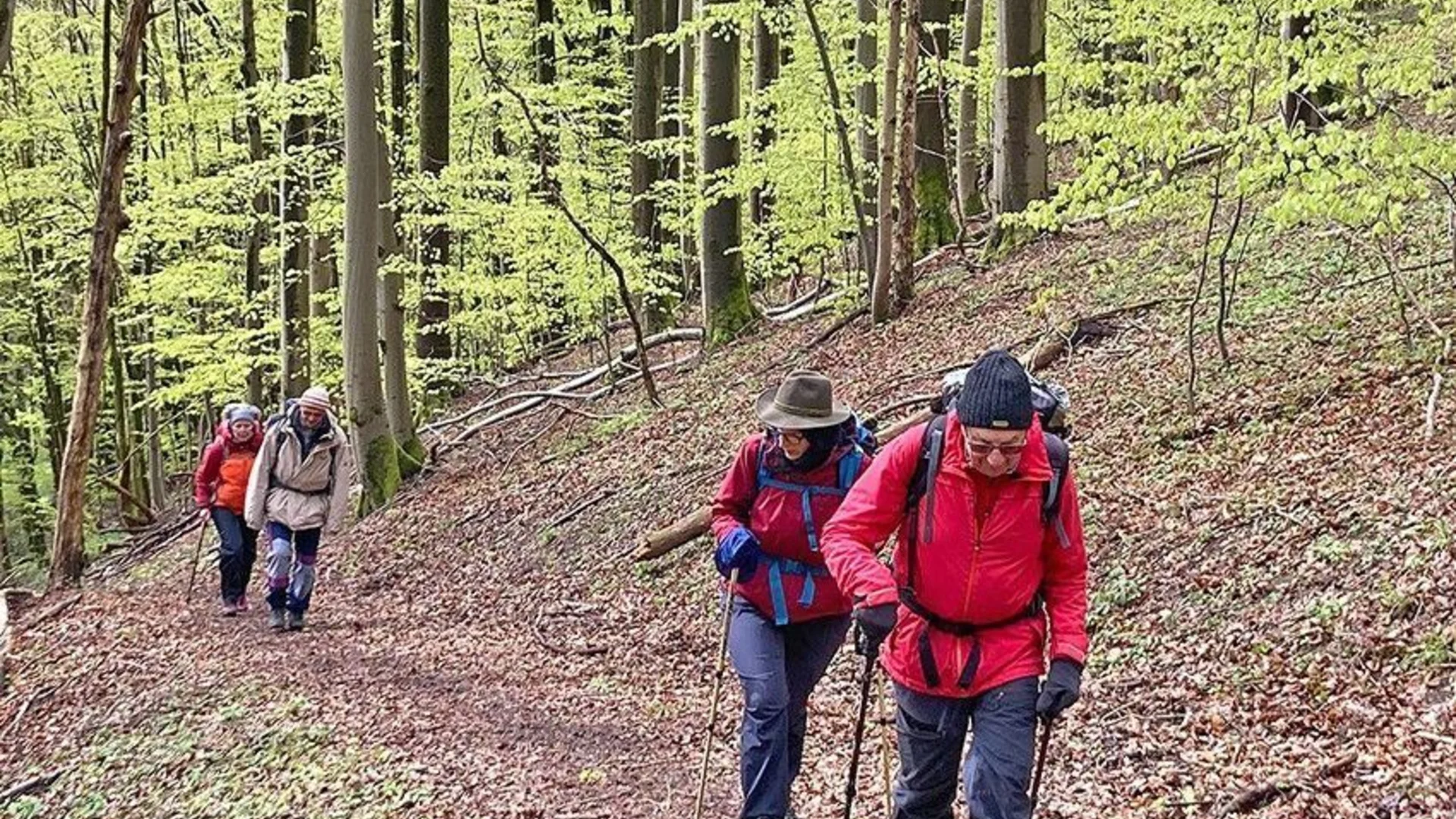 Wandergruppe Volker Sauerbrunn | © Volker Sauerbrunn